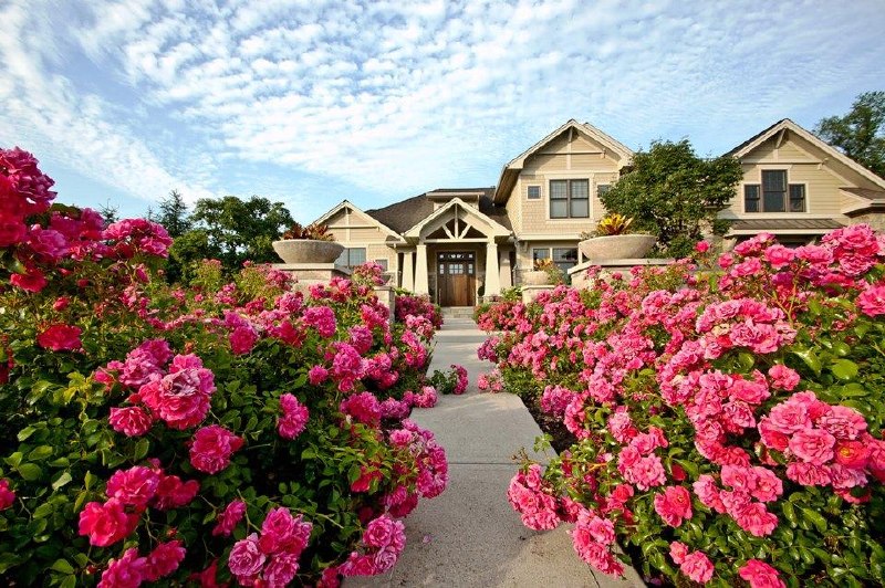 Rose beds flanking entry walkway